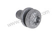 PAN-HEAD SCREW