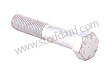 Bolt M12x65