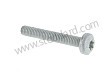 OVAL-HEAD SCREW