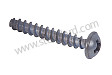 OVAL-HEAD SCREW