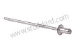 RIVET