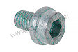 PAN-HEAD SCREW