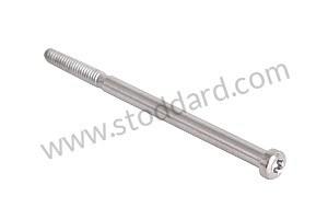 TORX SCREW 