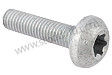 OVAL-HEAD SCREW
