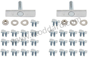 Side Trim Spear Molding Hardware Set. 5  (NLA55900400)