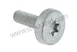 TORX SCREW