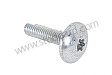 OVAL-HEAD SCREW