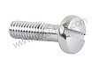 Screw