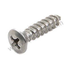 3,9 X 19 Screw  (NLA14502202)