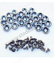 Velvet Door Screw Set 1965-1968. One Set Per Car  (SIC54200100)