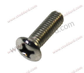 6 X 20 Pan Head Screw Polished Finished  (90014801500POL)