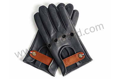 Gloves