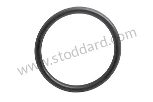 O-RING  (N10139201)