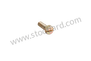 4x12 Pan.Screw  (90001407402)