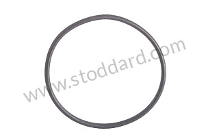 O-RING  (N90354201)