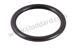 O-RING  (N90783402)