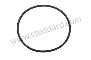SEALING RING  (95510731300)