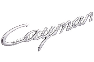 LOGO satin aluminium / satin aluminium (4W9) (98755923901)