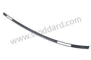 ROOF EDGE STRIP LEFT (98755940100G2X)
