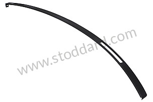ROOF EDGE STRIP RIGHT (98755940200G2X)
