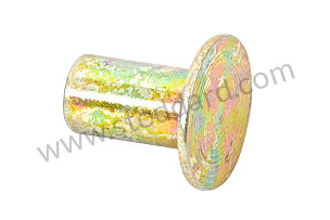RIVET  (90012004002)