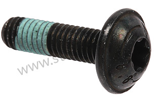 OVAL-HEAD SCREW  (99907341001)