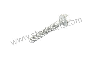 HEXAGON-HEAD BOLT M 10 X 70 MM (PAF102902)
