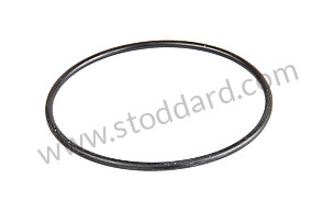 SEALING RING  (N91095601)