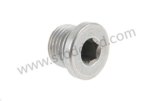 SCREW PLUG  (90021900401)