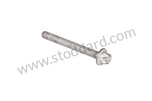 TORX SCREW  (9A700813200)