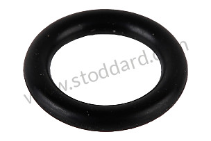 O-RING  (95530157700)