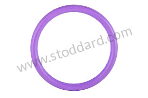 O-RING  (95557374903)