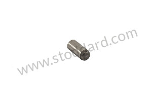 STRAIGHT PIN  (90030202100)