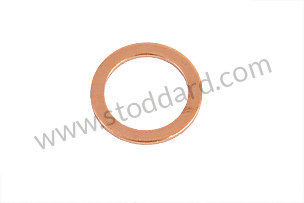 SEALING RING for T-V only (90110091900)
