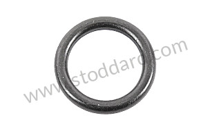 O-RING  (94810743900)