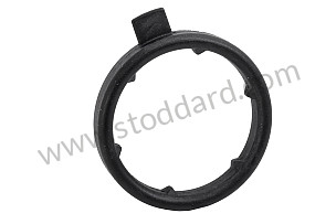 SEALING RING  (95510643100)