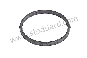 SEALING RING  (95510650900)