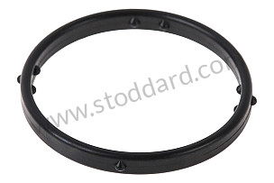 SEALING RING  (95510651100)