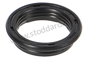 SEALING RING  (95510756700)