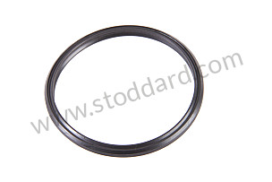 SEALING RING  (95511072200)
