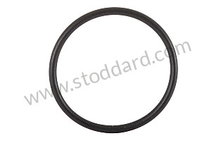 O-RING  (99970176141)