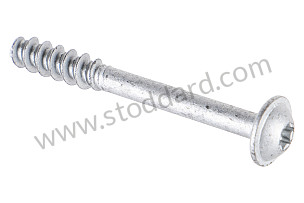 OVAL-HEAD SCREW  (99991900501)