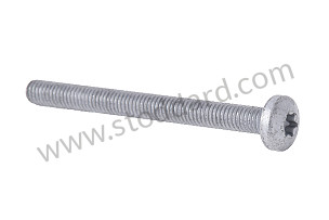 OVAL-HEAD SCREW  (N10622101)