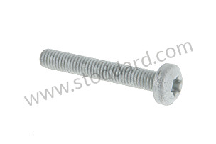 OVAL-HEAD SCREW  (N10582103)