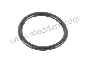 SEALING RING  (95532536400)