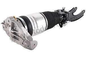 SPRING STRUT  (95535804001)