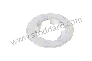CLAMPING WASHER  (99950705703)