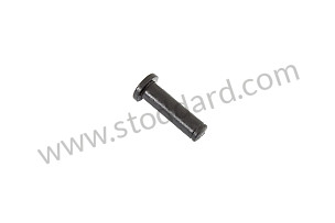 Eccentric Hinge Bolt for Targa Top 33,0 MM (90156521040)