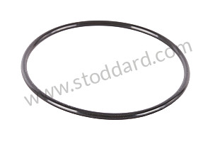 O-RING  (PAF008955A)
