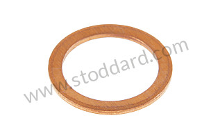 SEALING RING  (N0138165)
